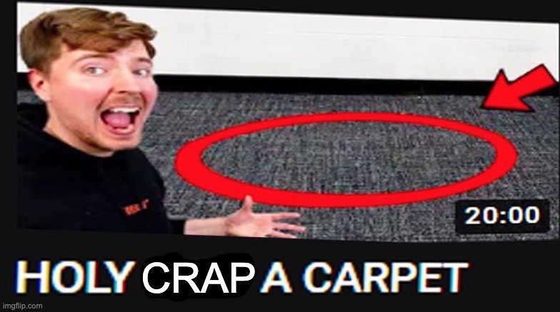 WHAT THE HELL, A CARPET???!!! | CRAP | image tagged in memes,unfunny | made w/ Imgflip meme maker