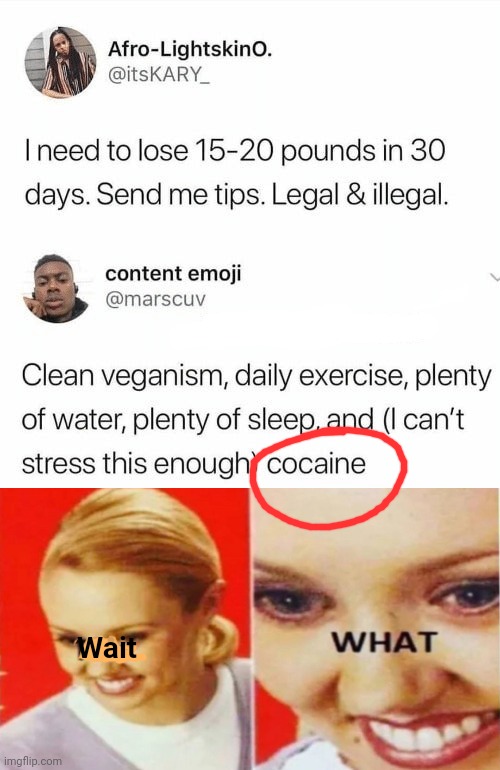 What the- |  Wait | image tagged in the what template without black square,im sorry what,wtf,cocaine,weight loss,twitter | made w/ Imgflip meme maker