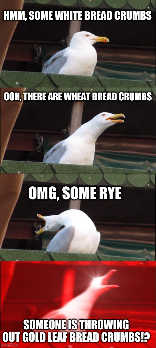 Inhaling Seagull | HMM, SOME WHITE BREAD CRUMBS; OOH, THERE ARE WHEAT BREAD CRUMBS; OMG, SOME RYE; SOMEONE IS THROWING OUT GOLD LEAF BREAD CRUMBS!? | image tagged in memes,inhaling seagull | made w/ Imgflip meme maker