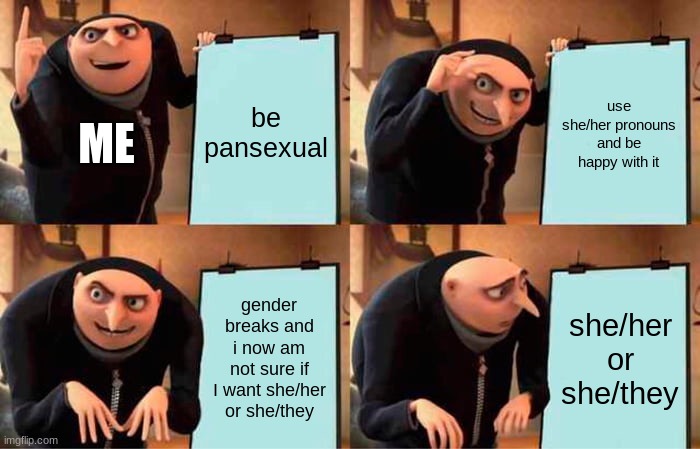 Gru's Plan | be pansexual; use she/her pronouns and be happy with it; ME; gender breaks and i now am not sure if I want she/her or she/they; she/her or she/they | image tagged in memes,gru's plan | made w/ Imgflip meme maker