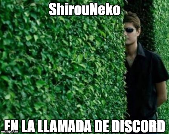 El Shirouneko sabe cosas | ShirouNeko; EN LA LLAMADA DE DISCORD | image tagged in epic seven | made w/ Imgflip meme maker