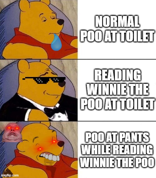 poo | NORMAL POO AT TOILET; READING WINNIE THE POO AT TOILET; POO AT PANTS WHILE READING WINNIE THE POO | image tagged in best better blurst | made w/ Imgflip meme maker