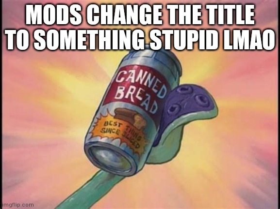 Canned bread | MODS CHANGE THE TITLE TO SOMETHING STUPID LMAO | image tagged in canned bread | made w/ Imgflip meme maker