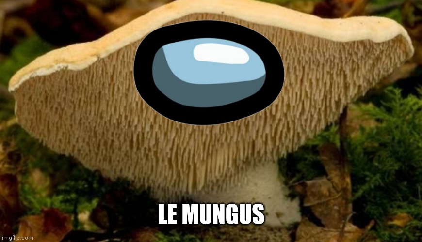 Le mungus | LE MUNGUS | image tagged in le mungus | made w/ Imgflip meme maker