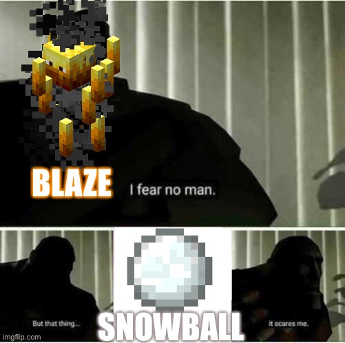 Insert title here.. | BLAZE; SNOWBALL | image tagged in i fear no man,memes | made w/ Imgflip meme maker