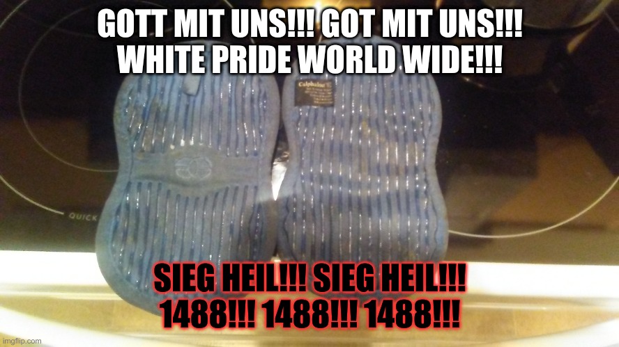 Nazi Oven Mitts | GOTT MIT UNS!!! GOT MIT UNS!!!
WHITE PRIDE WORLD WIDE!!! SIEG HEIL!!! SIEG HEIL!!!
1488!!! 1488!!! 1488!!! | image tagged in adolf hitler,kitchen,dark humor,autism,white privilege | made w/ Imgflip meme maker