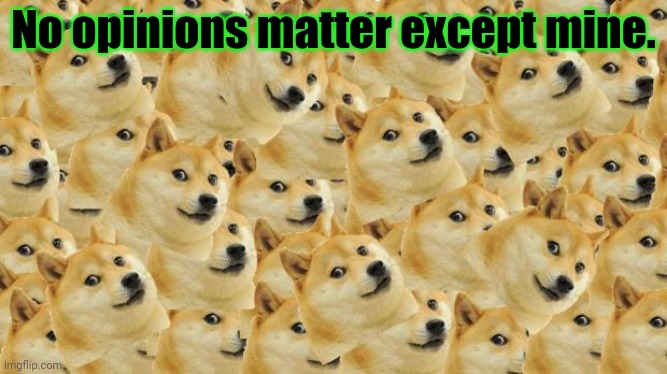 Multi Doge Meme | No opinions matter except mine. | image tagged in memes,multi doge | made w/ Imgflip meme maker