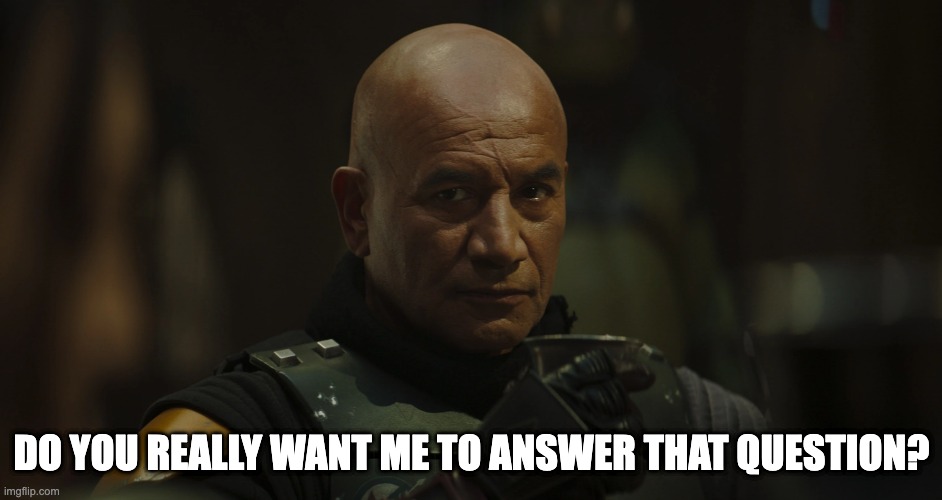 Do You Really Want Me To Answer that Question? | DO YOU REALLY WANT ME TO ANSWER THAT QUESTION? | image tagged in funny memes | made w/ Imgflip meme maker