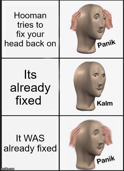 Panik Kalm Panik | Hooman tries to fix your head back on; Its already fixed; It WAS already fixed | image tagged in memes,panik kalm panik | made w/ Imgflip meme maker