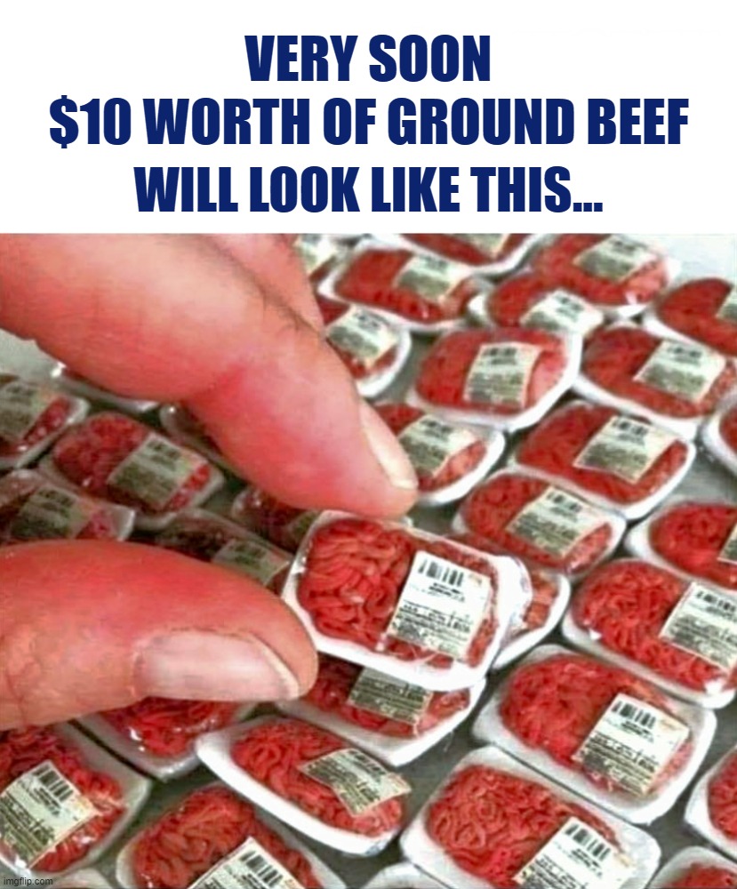 Inflation | VERY SOON; $10 WORTH OF GROUND BEEF; WILL LOOK LIKE THIS... | image tagged in inflation | made w/ Imgflip meme maker