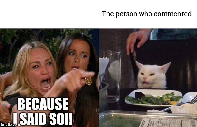 Woman Yelling At Cat Meme | The person who commented BECAUSE I SAID SO!! | image tagged in memes,woman yelling at cat | made w/ Imgflip meme maker