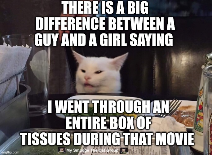 THERE IS A BIG DIFFERENCE BETWEEN A GUY AND A GIRL SAYING; I WENT THROUGH AN ENTIRE BOX OF TISSUES DURING THAT MOVIE | image tagged in smudge the cat | made w/ Imgflip meme maker