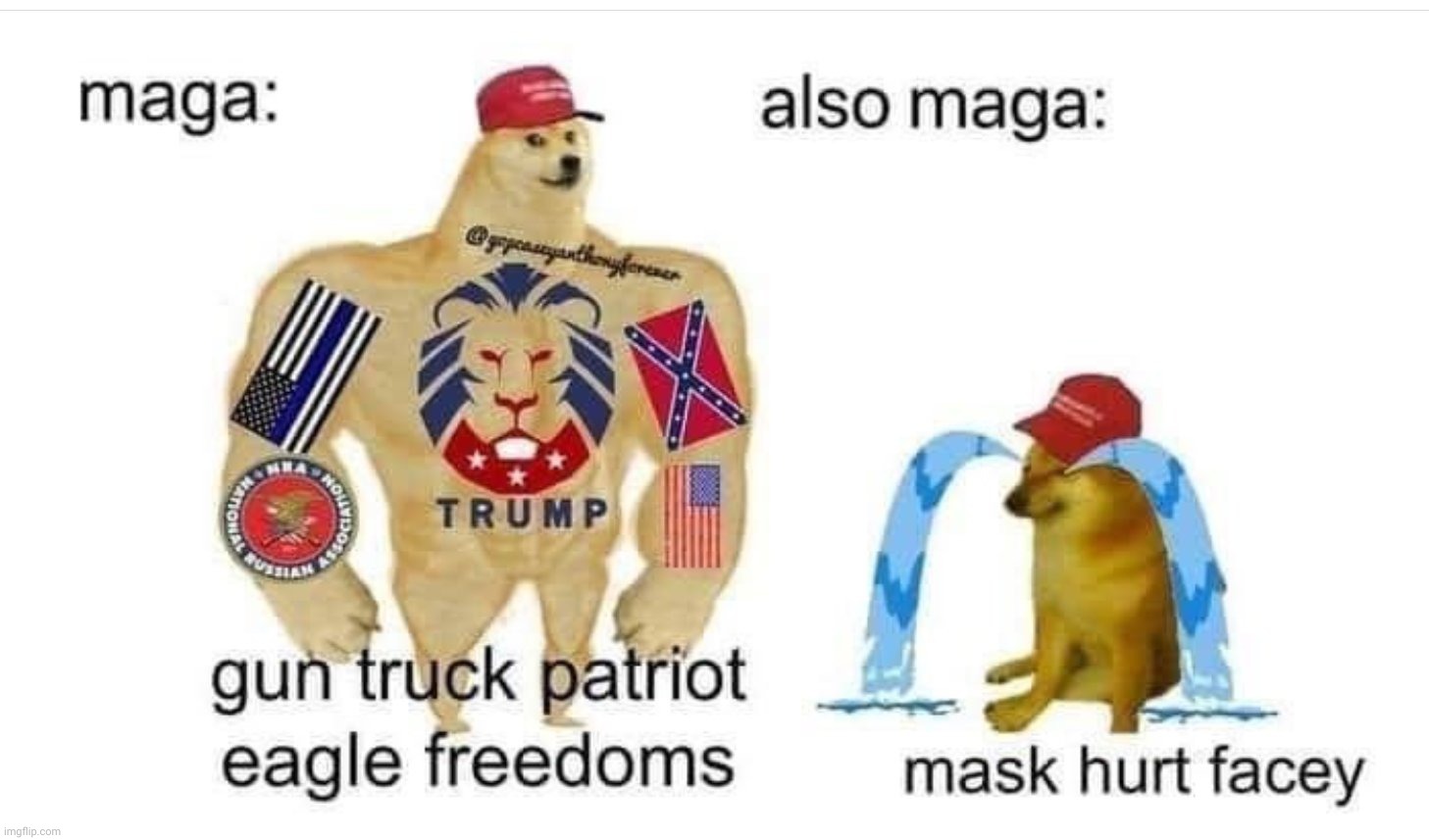 MAGA mask hurt facey | image tagged in maga mask hurt facey,maga,trump,donald trump,buff doge vs cheems | made w/ Imgflip meme maker