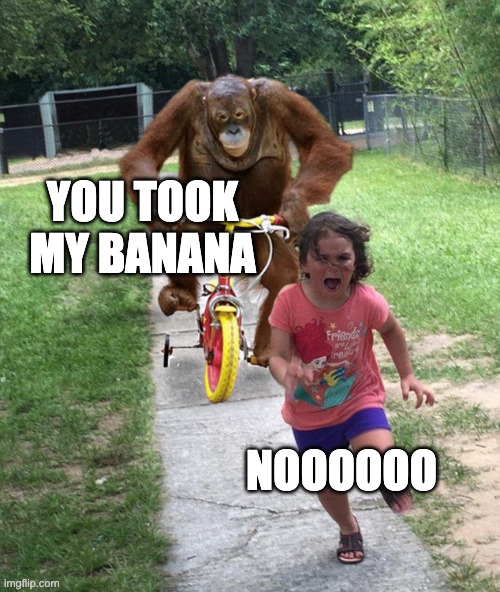 lol | YOU TOOK MY BANANA; NOOOOOO | image tagged in orangutan chasing girl on a tricycle | made w/ Imgflip meme maker