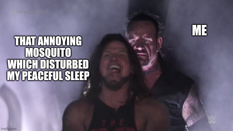 Really that mosquito ? which is annoying as hell | ME; THAT ANNOYING MOSQUITO WHICH DISTURBED MY PEACEFUL SLEEP | image tagged in aj styles undertaker | made w/ Imgflip meme maker
