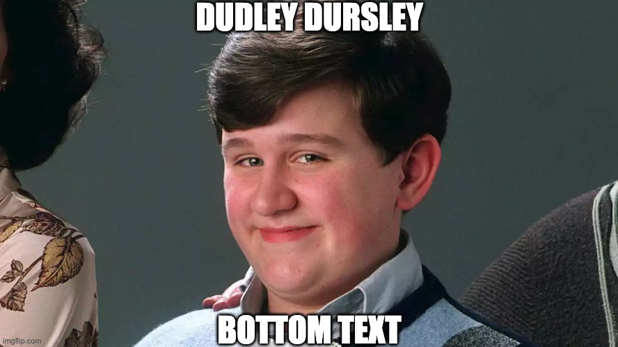 He's the best part of Harry Potter | DUDLEY DURSLEY; BOTTOM TEXT | image tagged in memes,unfunny | made w/ Imgflip meme maker