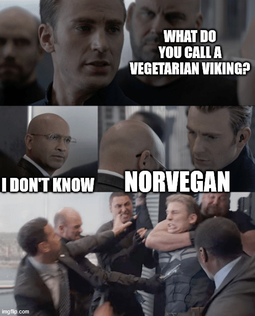 How to annoy your Scandinavian mates | WHAT DO YOU CALL A VEGETARIAN VIKING? I DON'T KNOW; NORVEGAN | image tagged in captain america elevator | made w/ Imgflip meme maker