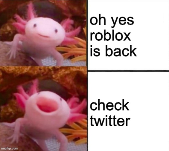 roblox back | oh yes roblox is back; check twitter | image tagged in axolotl drake | made w/ Imgflip meme maker