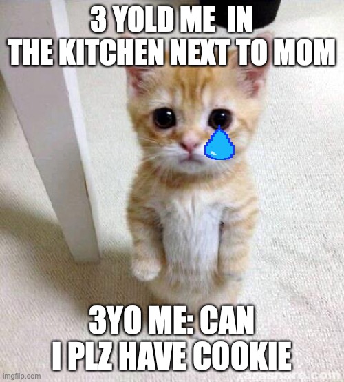 Cute Cat Meme | 3 YOLD ME  IN THE KITCHEN NEXT TO MOM; 3YO ME: CAN I PLZ HAVE COOKIE | image tagged in memes,cute cat | made w/ Imgflip meme maker