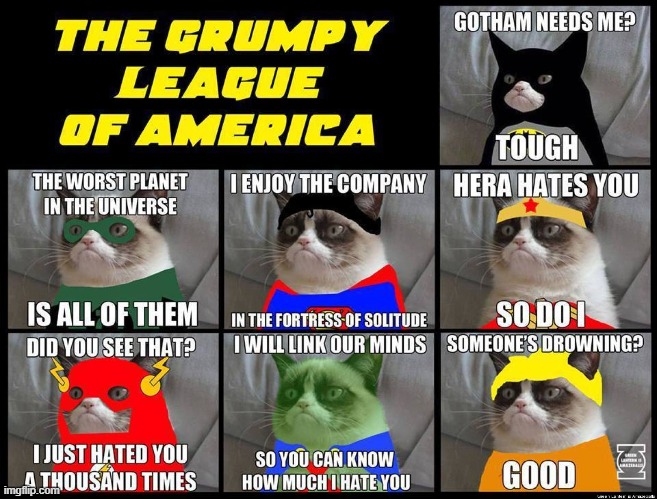 Grumpy league of America | image tagged in something | made w/ Imgflip meme maker