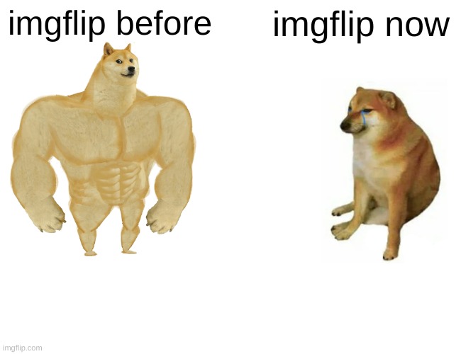 Reasonable | imgflip before; imgflip now | image tagged in memes,buff doge vs cheems,oh wow are you actually reading these tags | made w/ Imgflip meme maker