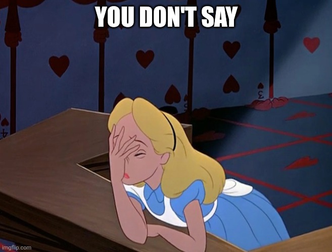 Alice in Wonderland Face Palm Facepalm | YOU DON'T SAY | image tagged in alice in wonderland face palm facepalm | made w/ Imgflip meme maker