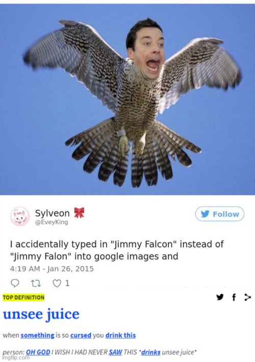 image tagged in jimmy fallon,falcon,birb,pass the unsee juice my bro | made w/ Imgflip meme maker