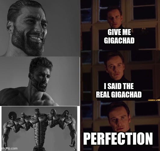 Uglier than Medusa | GIVE ME GIGACHAD; I SAID THE REAL GIGACHAD; PERFECTION | image tagged in perfection | made w/ Imgflip meme maker