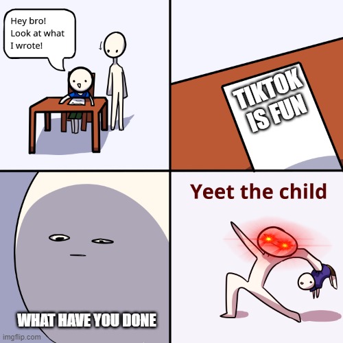 Yeet the child | TIKTOK IS FUN; WHAT HAVE YOU DONE | image tagged in yeet the child | made w/ Imgflip meme maker