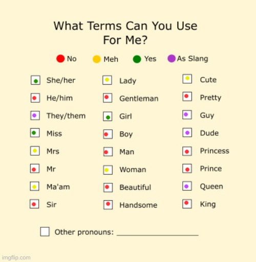 What you may call me (updated) | image tagged in pronouns sheet,i have no idea what im doing | made w/ Imgflip meme maker