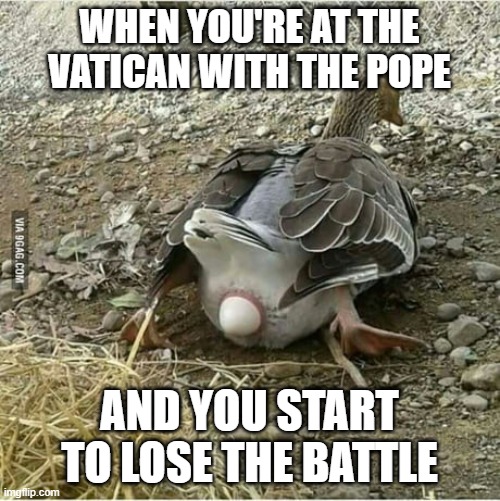 Duck egg | WHEN YOU'RE AT THE VATICAN WITH THE POPE; AND YOU START TO LOSE THE BATTLE | image tagged in joe biden,vatican,pooping,bathroom humor,funny memes,gotta go fast | made w/ Imgflip meme maker