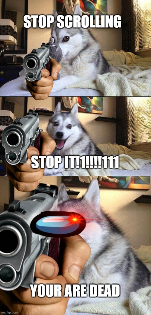 sussy bad doggy | STOP SCROLLING; STOP IT!1!!!!111; YOUR ARE DEAD | image tagged in sus,lol so funny,too funny,funny animal | made w/ Imgflip meme maker