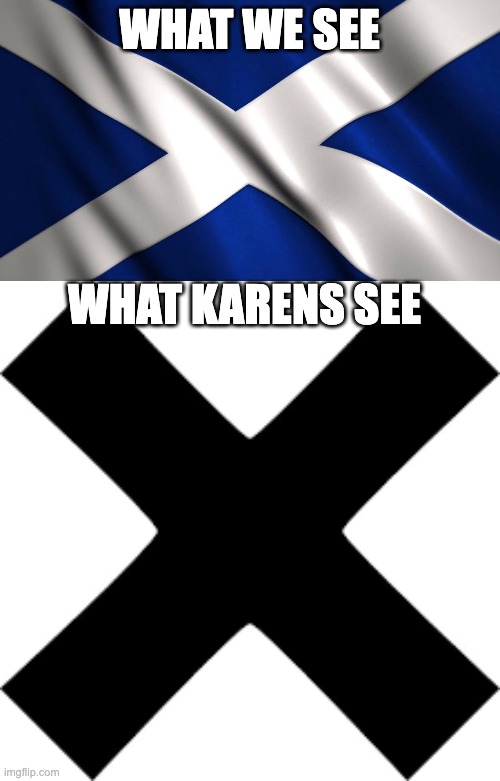 dank | WHAT WE SEE; WHAT KARENS SEE | image tagged in memes | made w/ Imgflip meme maker