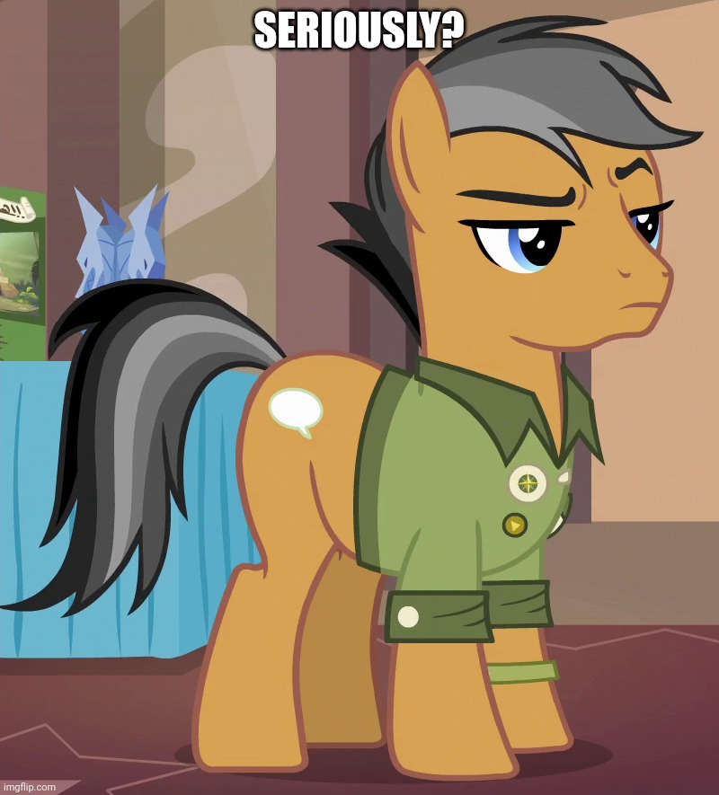 SERIOUSLY? | image tagged in quibble pants,my little pony friendship is magic | made w/ Imgflip meme maker