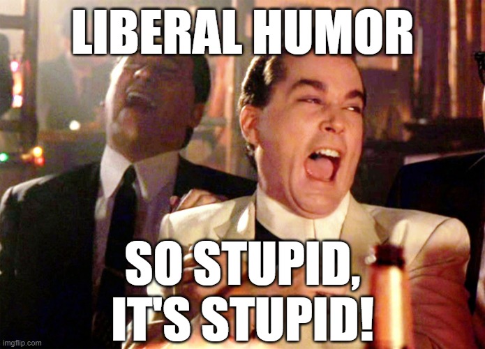 Good Fellas Hilarious Meme | LIBERAL HUMOR SO STUPID,
IT'S STUPID! | image tagged in memes,good fellas hilarious | made w/ Imgflip meme maker