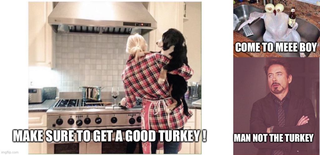 COME TO MEEE BOY; MAKE SURE TO GET A GOOD TURKEY ! MAN NOT THE TURKEY | image tagged in woman cooking,turkey,memes,face you make robert downey jr | made w/ Imgflip meme maker