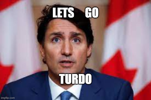  LETS     GO; TURDO | image tagged in justin trudeau,globalist,pos,blackface | made w/ Imgflip meme maker