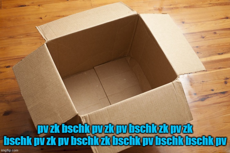 Empty Box | pv zk bschk pv zk pv bschk zk pv zk bschk pv zk pv bschk zk bschk pv bschk bschk pv | image tagged in empty box | made w/ Imgflip meme maker