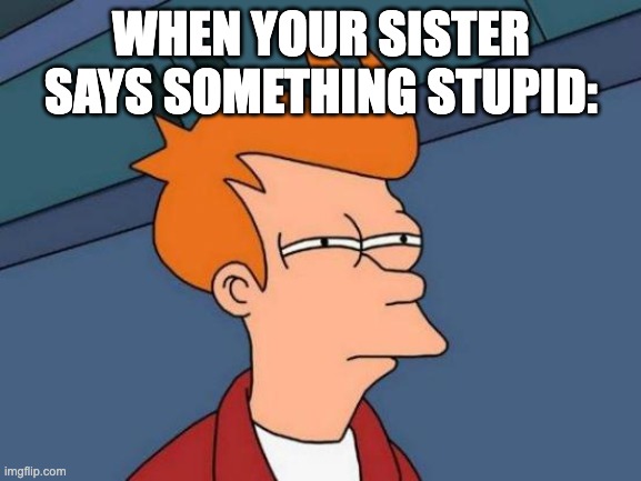 Futurama Fry Meme | WHEN YOUR SISTER SAYS SOMETHING STUPID: | image tagged in memes,futurama fry | made w/ Imgflip meme maker