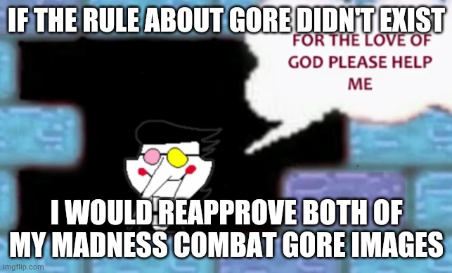 For the love of god please help me | IF THE RULE ABOUT GORE DIDN'T EXIST; I WOULD REAPPROVE BOTH OF MY MADNESS COMBAT GORE IMAGES | image tagged in for the love of god please help me | made w/ Imgflip meme maker