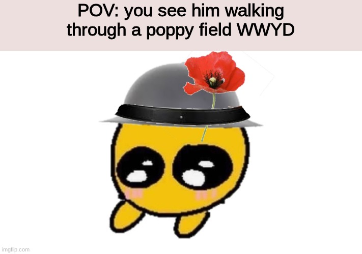 hes a smol boi so be careful | POV: you see him walking through a poppy field WWYD | image tagged in roleplaying | made w/ Imgflip meme maker