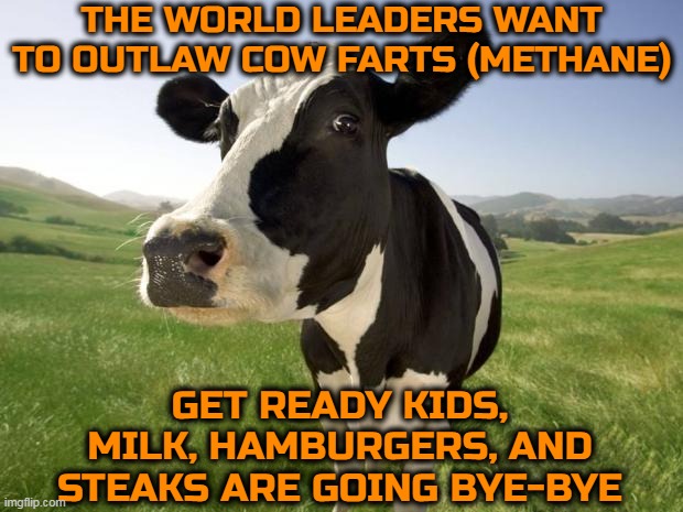 Cancel the cow farts! | THE WORLD LEADERS WANT TO OUTLAW COW FARTS (METHANE); GET READY KIDS, MILK, HAMBURGERS, AND STEAKS ARE GOING BYE-BYE | image tagged in cow,farts,where's the beef,tyranny,say goodbye | made w/ Imgflip meme maker