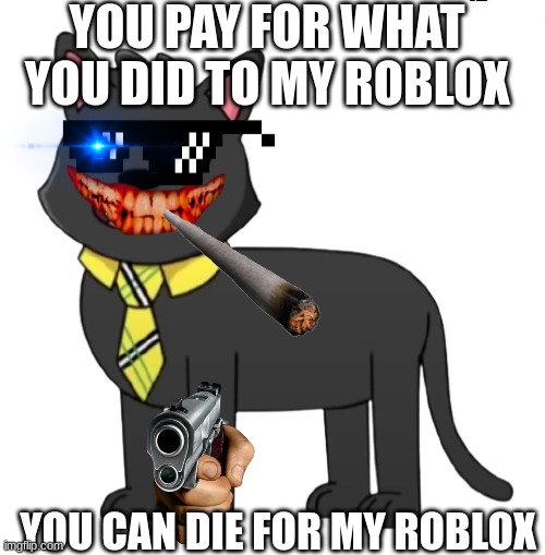 sir meows a lot is mad at you | YOU PAY FOR WHAT YOU DID TO MY ROBLOX; YOU CAN DIE FOR MY ROBLOX | image tagged in meow | made w/ Imgflip meme maker