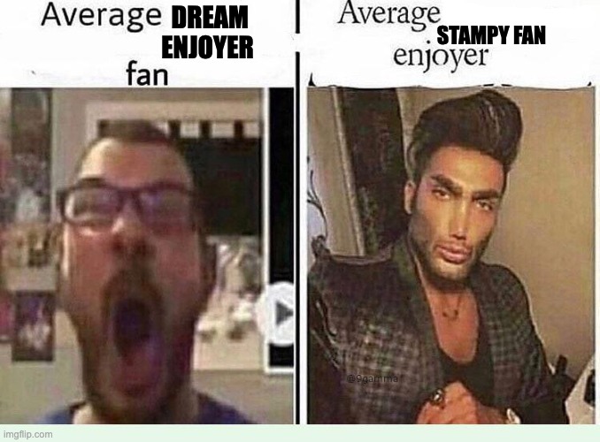 Average *BLANK* Fan VS Average *BLANK* Enjoyer | DREAM ENJOYER; STAMPY FAN | image tagged in average blank fan vs average blank enjoyer | made w/ Imgflip meme maker