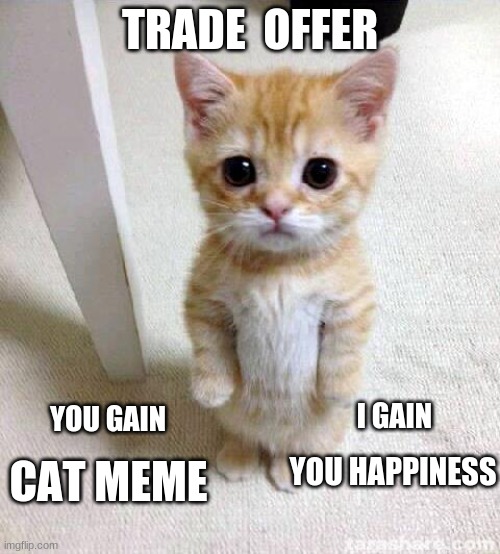 Cute Cat Meme | TRADE  OFFER; I GAIN; YOU GAIN; YOU HAPPINESS; CAT MEME | image tagged in memes,cute cat | made w/ Imgflip meme maker