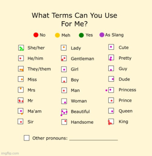 Pronouns Sheet | made w/ Imgflip meme maker