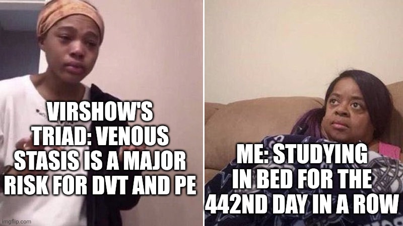 Me explaining to my mom | VIRSHOW'S TRIAD: VENOUS STASIS IS A MAJOR RISK FOR DVT AND PE; ME: STUDYING IN BED FOR THE 442ND DAY IN A ROW | image tagged in me explaining to my mom | made w/ Imgflip meme maker