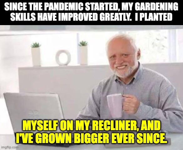 Gardening | SINCE THE PANDEMIC STARTED, MY GARDENING SKILLS HAVE IMPROVED GREATLY.  I PLANTED; MYSELF ON MY RECLINER, AND I'VE GROWN BIGGER EVER SINCE. | image tagged in harold | made w/ Imgflip meme maker