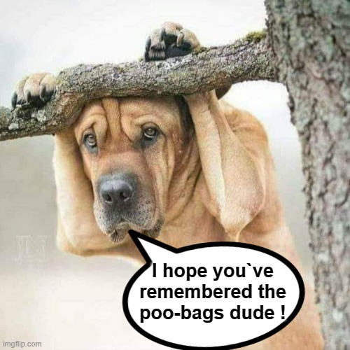 Hey dude ! | I hope you`ve
remembered the
poo-bags dude ! | image tagged in dog poop | made w/ Imgflip meme maker