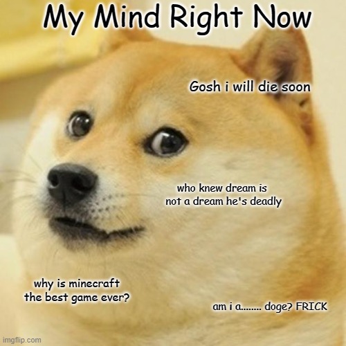 MINDS | My Mind Right Now; Gosh i will die soon; who knew dream is  not a dream he's deadly; why is minecraft the best game ever? am i a........ doge? FRICK | image tagged in memes,doge | made w/ Imgflip meme maker